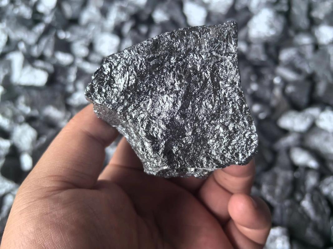 B879005efc21321d1ab83f77bf3f6241 1